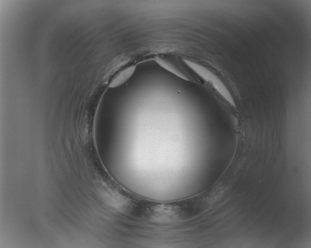 X0000077390261200610272020