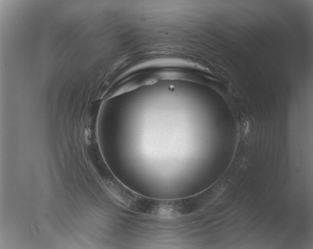 X0000077390264200610272020