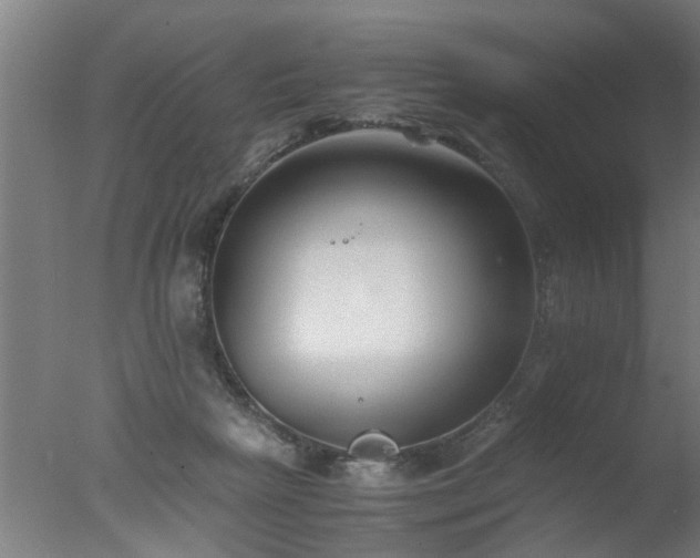 X0000077390265200610272020