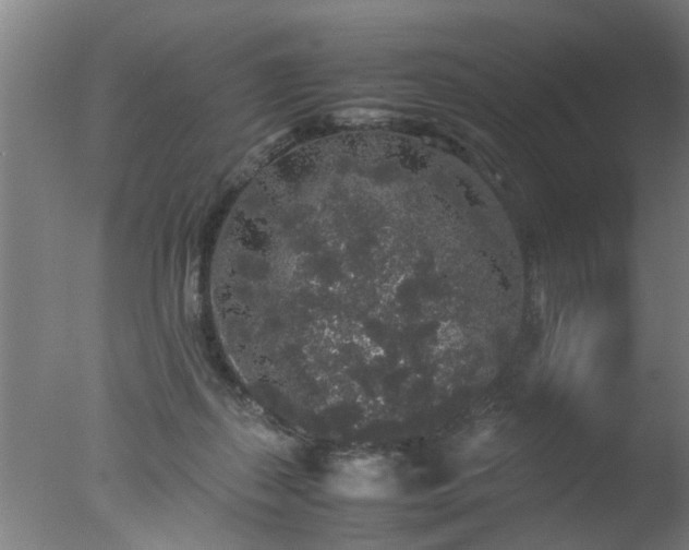 X0000077390267200610272020