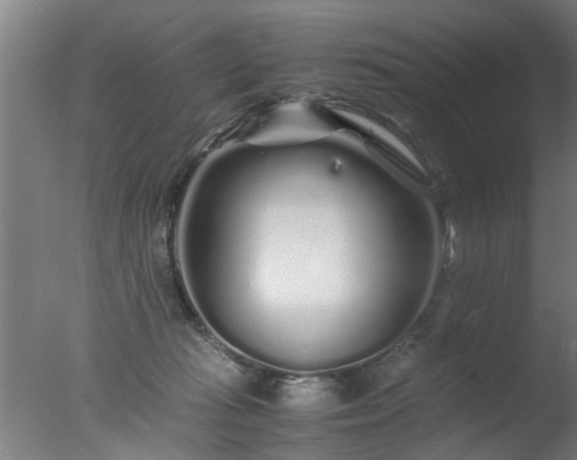 X0000077390269200610272020