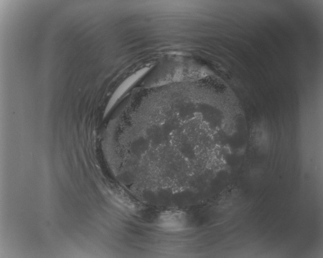 X0000077390271200610272020