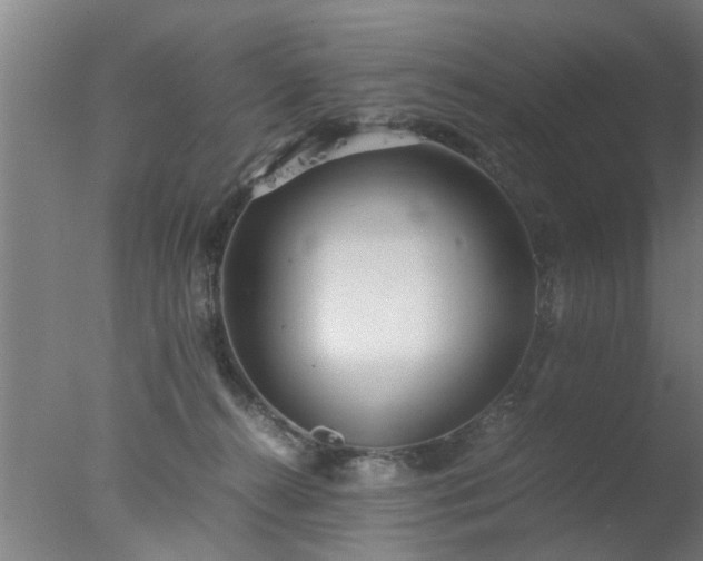 X0000077390272200610272020