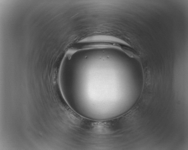 X0000077390273200610272020