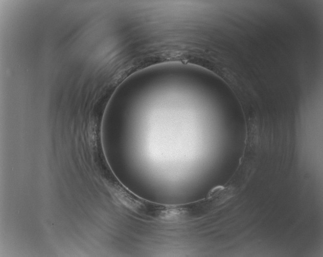 X0000077390274200610272020