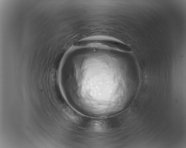 X0000077390275200610272020