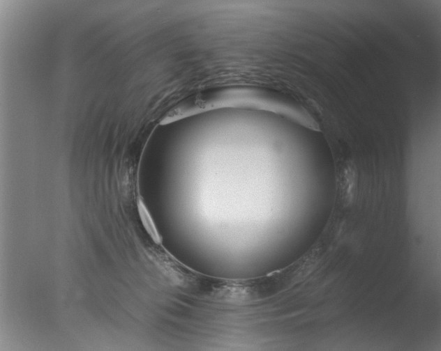 X0000077390276200610272020