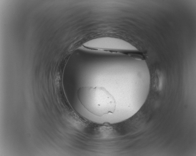 X0000077390279200610272021