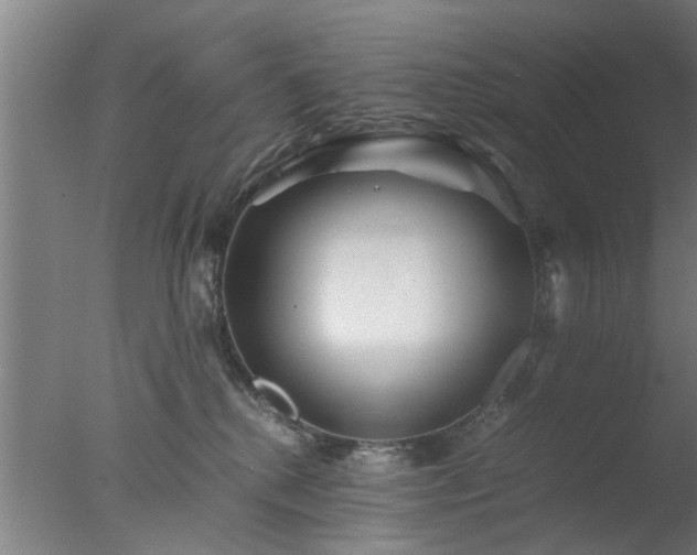 X0000077390280200610272021