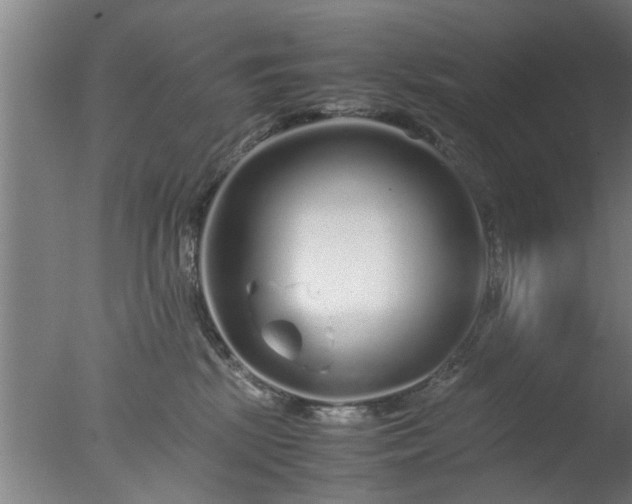 X0000077390281200610272021