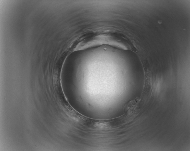 X0000077390283200610272021