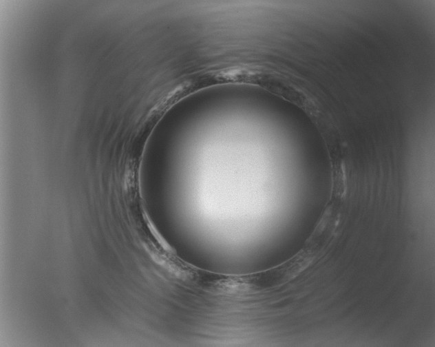 X0000077390284200610272021