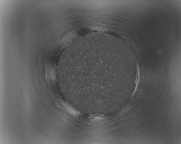 X0000077390285200610272021