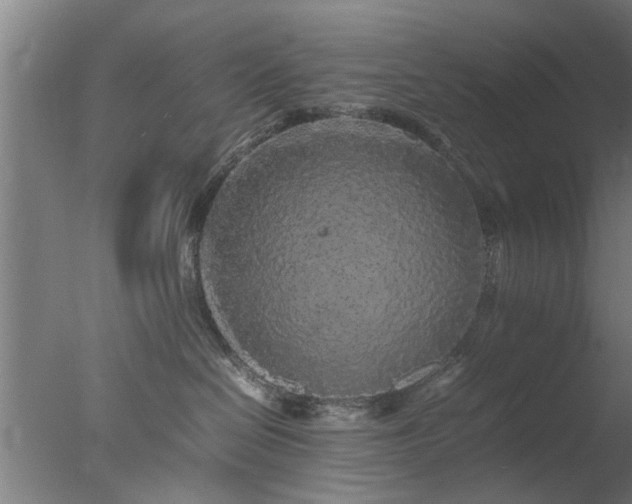 X0000077390286200610272021