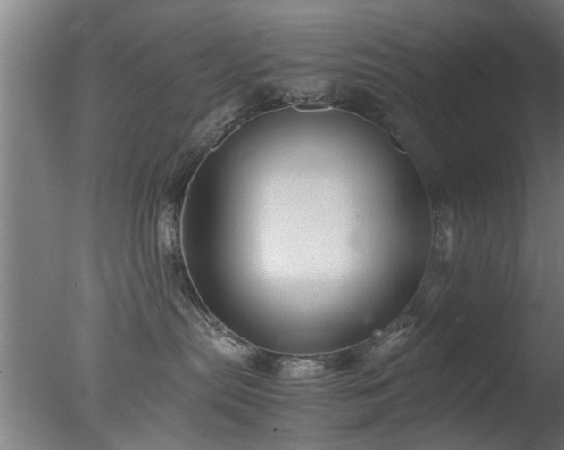 X0000077390287200610272021