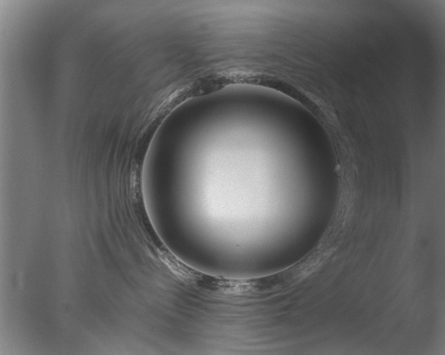 X0000077390288200610272021