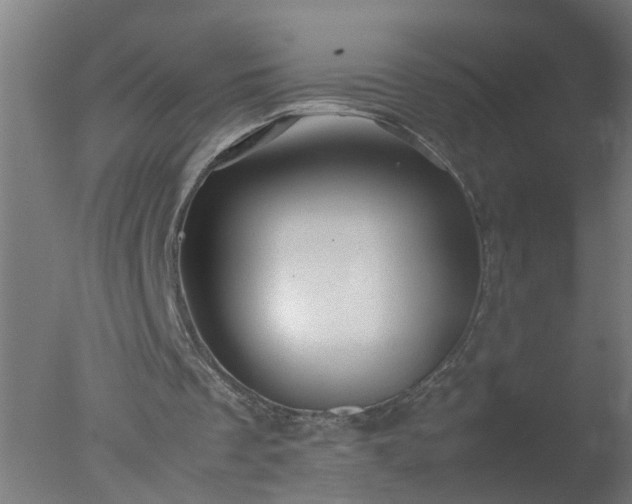 X0000077390289200610272020