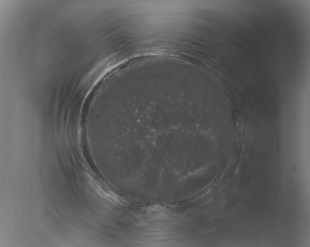 X0000077390290200610272020