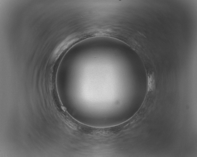 X0000077390291200610272020