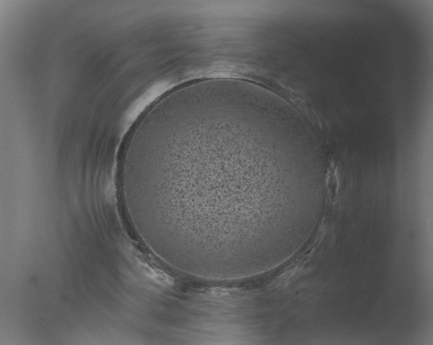 X0000077390292200610272020