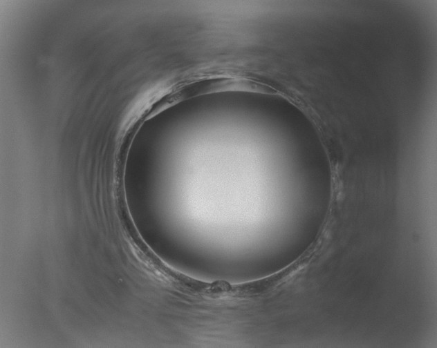 X0000077390293200610272020