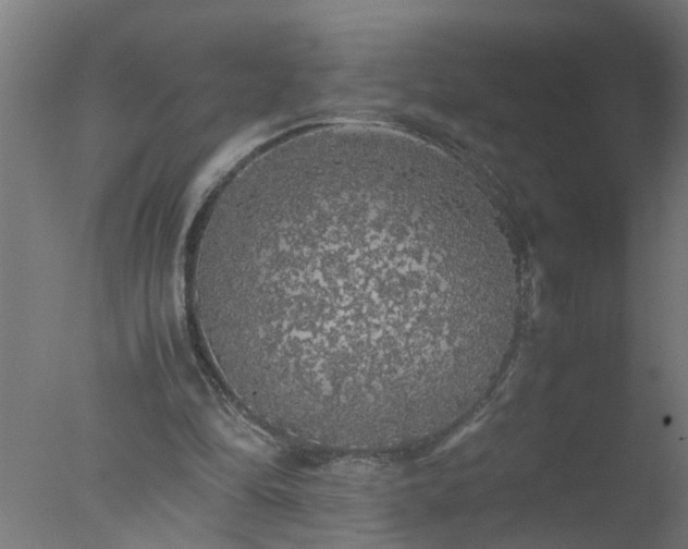 X0000077390294200610272020