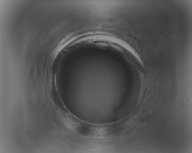 X0000077390295200610272020