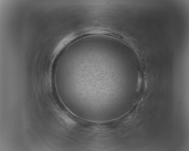 X0000077390296200610272020