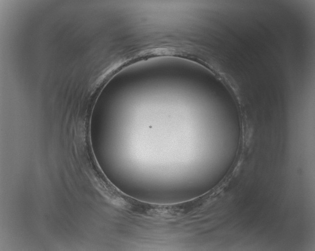 X0000077390297200610272020