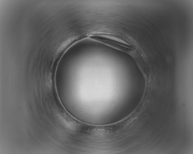 X0000077390298200610272020