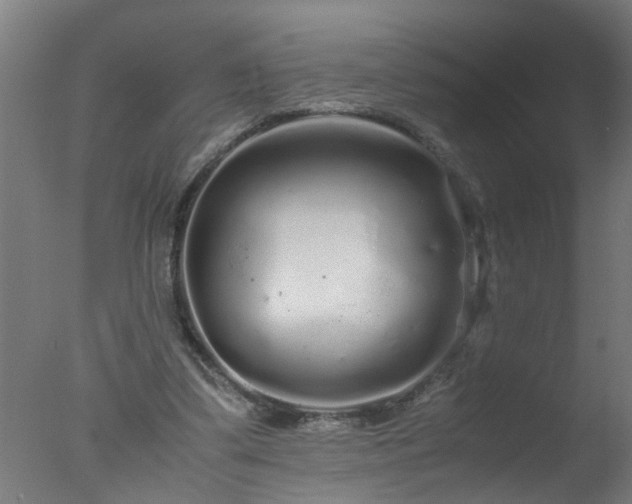 X0000077390299200610272020