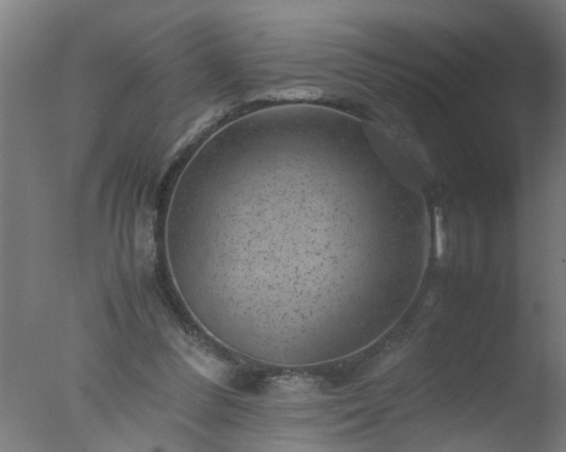 X0000077390300200610272020