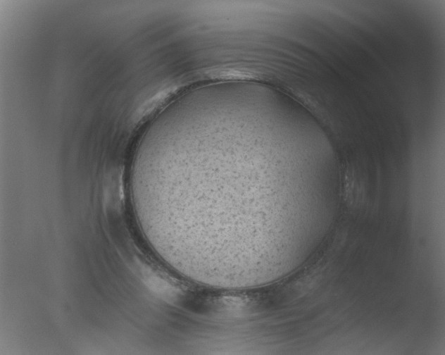 X0000077390302200610272020