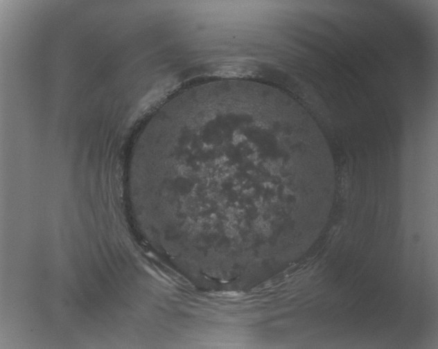 X0000077390303200610272020