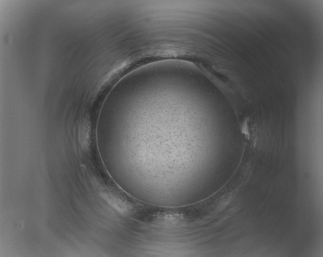 X0000077390304200610272020