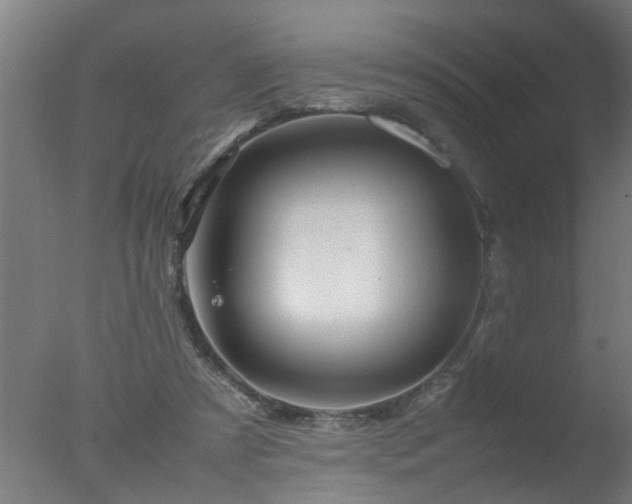 X0000077390305200610272020