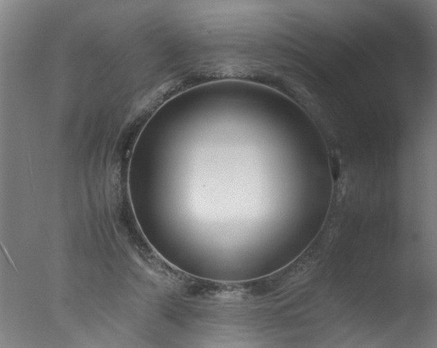 X0000077390306200610272020