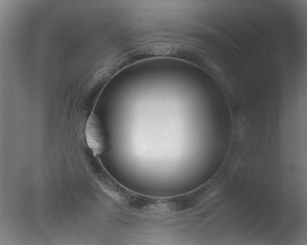 X0000077390307200610272020