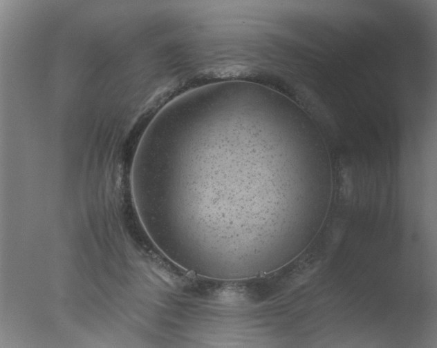 X0000077390308200610272020