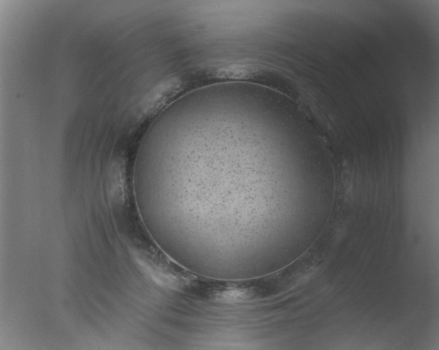 X0000077390312200610272019