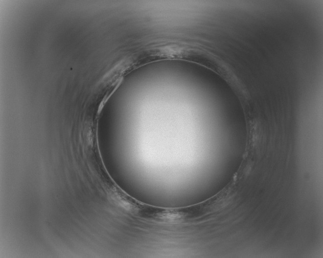 X0000077390313200610272019