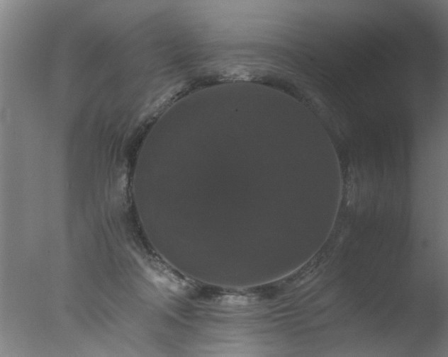 X0000077390314200610272019