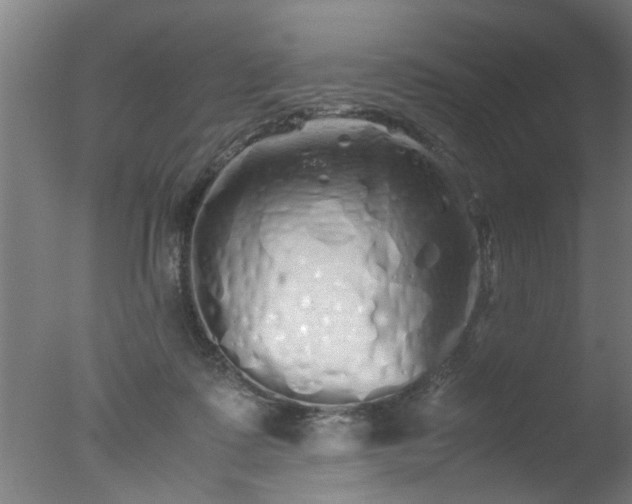 X0000077390315200610272019