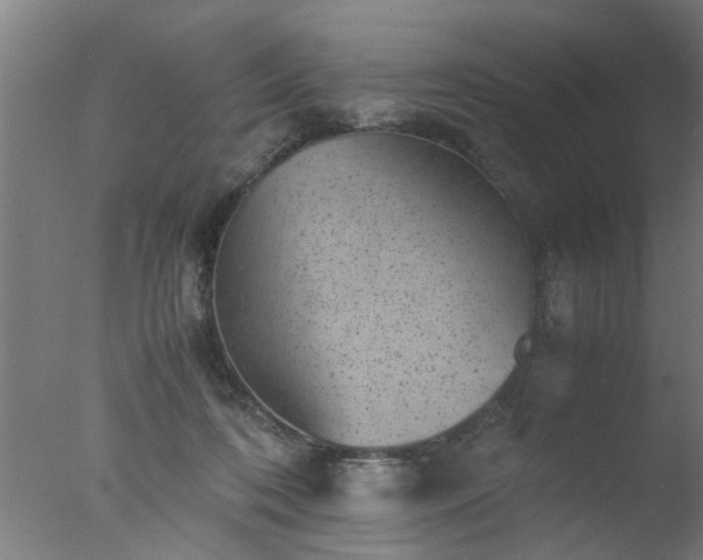 X0000077390316200610272019