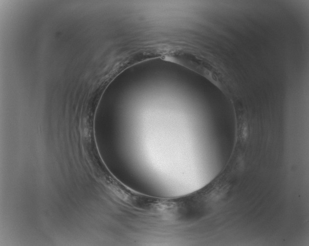 X0000077390317200610272019