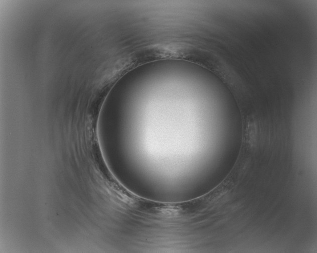 X0000077390318200610272019