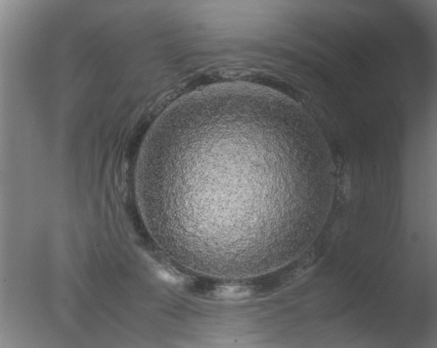 X0000077390319200610272019