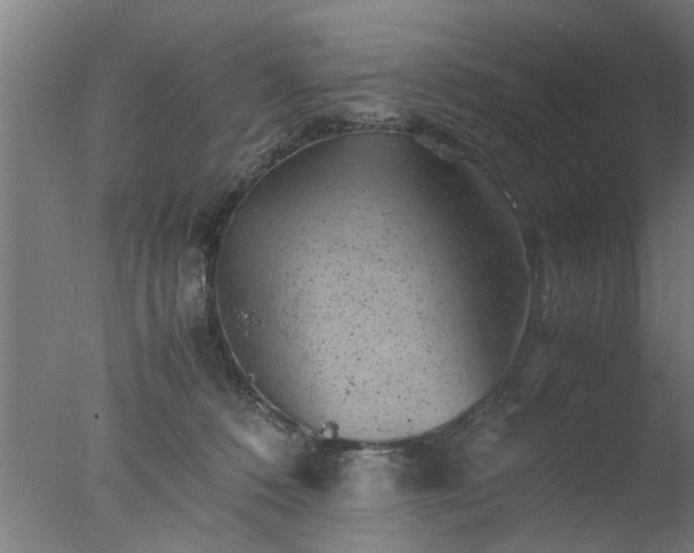 X0000077390320200610272019