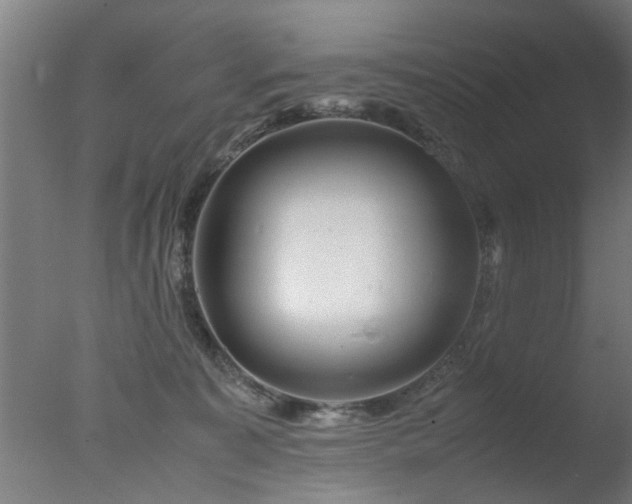 X0000077390323200610272019