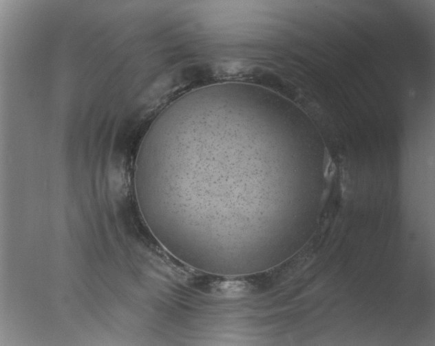 X0000077390324200610272019